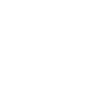 Logo Ibis